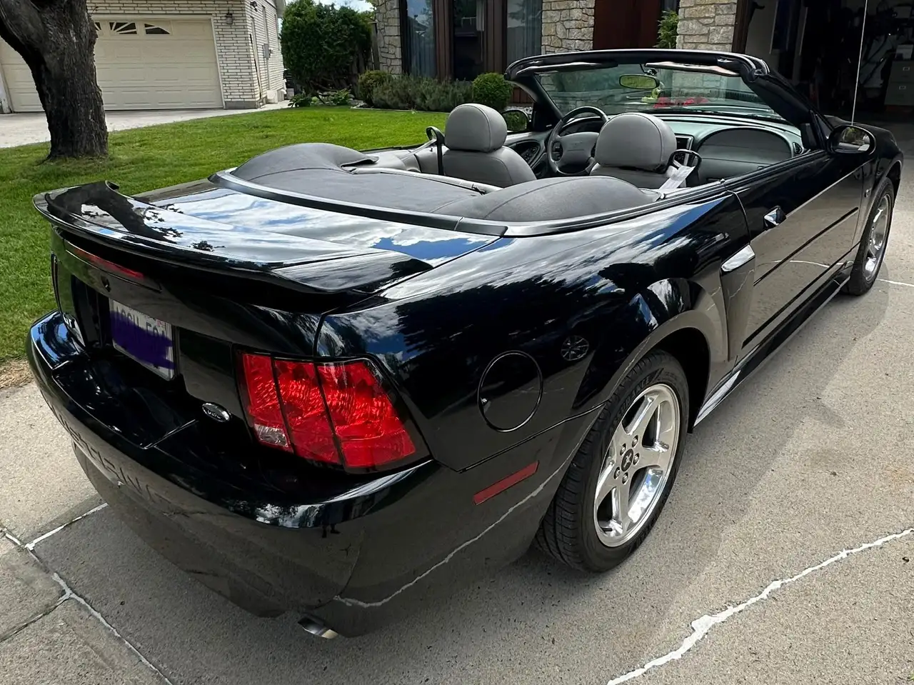 Ford Mustang photo Ford Mustang