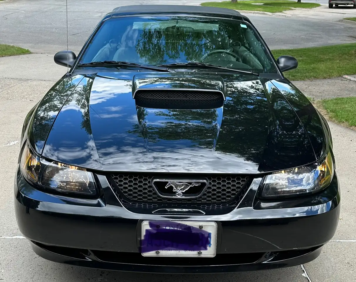 Ford Mustang photo Ford Mustang