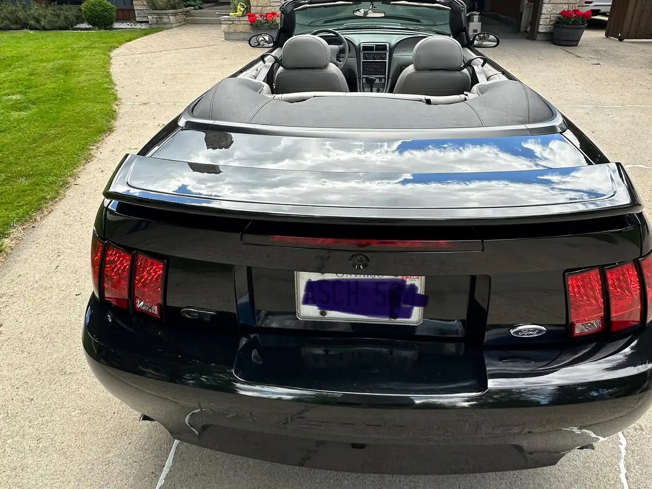 Ford Mustang photo Ford Mustang