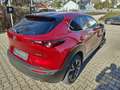 Mazda CX-30 2.5L e-SKYACTIV G FWD Exclusive-line Rot - thumbnail 5