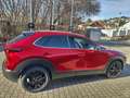 Mazda CX-30 2.5L e-SKYACTIV G FWD Exclusive-line Rot - thumbnail 6