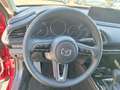 Mazda CX-30 2.5L e-SKYACTIV G FWD Exclusive-line Rot - thumbnail 17