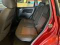 Ford Fiesta Fiesta 5p 1.2 Plus Euro 4 ok neopatentati Marrone - thumbnail 13