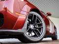 Dodge Challenger R/T Scat Pack Dodge Challenger r/t scat pack | 492 Rouge - thumbnail 13