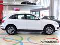 Audi Q5 2.0 TDI 170 CV QUATTRO S TRONIC AUTOMATICA Weiß - thumbnail 25