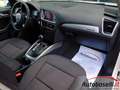 Audi Q5 2.0 TDI 170 CV QUATTRO S TRONIC AUTOMATICA Weiß - thumbnail 23
