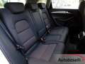Audi Q5 2.0 TDI 170 CV QUATTRO S TRONIC AUTOMATICA Weiß - thumbnail 22