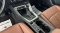 Audi Q3 Q3 2019  Spb 35 2.0 tdi Business Plus s-tronic Azul - thumbnail 13
