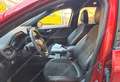 Ford Kuga 2.5Phev ST-Line X Tetto CL19"UNIPRO IVA DEDUCIBILE Rouge - thumbnail 9
