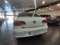 Volkswagen Passat 1.6 TDI 105cv Business Bluemotion Weiß - thumbnail 20