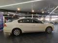 Volkswagen Passat 1.6 TDI 105cv Business Bluemotion Weiß - thumbnail 21