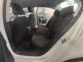 Volkswagen Passat 1.6 TDI 105cv Business Bluemotion Weiß - thumbnail 6