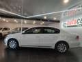 Volkswagen Passat 1.6 TDI 105cv Business Bluemotion Weiß - thumbnail 12