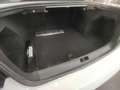 Volkswagen Passat 1.6 TDI 105cv Business Bluemotion Weiß - thumbnail 19