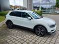 Volkswagen Tiguan Tiguan 1.5 tsi Advanced 150cv dsg Bianco - thumbnail 6