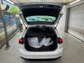 Volkswagen Passat Variant Conceptline Weiß - thumbnail 8
