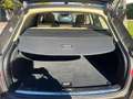 Audi A4 Avant 3.0TDI DPF quattro S-Tronic 245 Marrón - thumbnail 11