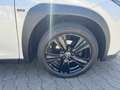 Lexus Sonstige UX   250 h Style+ Edition Weiß - thumbnail 5