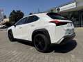 Lexus Sonstige UX   250 h Style+ Edition Weiß - thumbnail 4