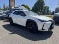 Lexus Sonstige UX   250 h Style+ Edition Weiß - thumbnail 2