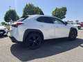 Lexus Sonstige UX   250 h Style+ Edition Weiß - thumbnail 3