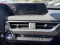 Lexus Sonstige UX   250 h Style+ Edition Weiß - thumbnail 16