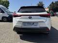 Lexus Sonstige UX   250 h Style+ Edition Weiß - thumbnail 7