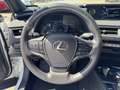 Lexus Sonstige UX   250 h Style+ Edition Weiß - thumbnail 15