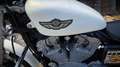 Harley-Davidson Sportster 883 XLH 100th Anniversary White - thumbnail 3