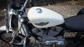 Harley-Davidson Sportster 883 XLH 100th Anniversary Bílá - thumbnail 2