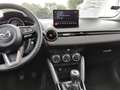 Mazda 2 Homura Aka 1.5 HUD AD LED Blendfreies Fernl. ACC A Gris - thumbnail 11