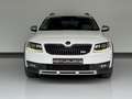 Skoda Octavia 2.0TDI CR DSG 4x4 135kW Blanco - thumbnail 10