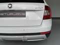 Skoda Octavia 2.0TDI CR DSG 4x4 135kW Blanco - thumbnail 26