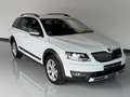 Skoda Octavia 2.0TDI CR DSG 4x4 135kW Blanco - thumbnail 8