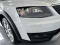 Skoda Octavia 2.0TDI CR DSG 4x4 135kW Blanco - thumbnail 24