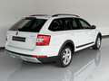 Skoda Octavia 2.0TDI CR DSG 4x4 135kW Blanco - thumbnail 9
