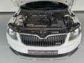Skoda Octavia 2.0TDI CR DSG 4x4 135kW Blanco - thumbnail 11