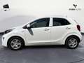 Kia Picanto 1.0 12V 5 porte AMT Urban Bianco - thumbnail 6