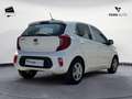 Kia Picanto 1.0 12V 5 porte AMT Urban Bianco - thumbnail 7