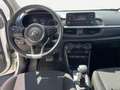 Kia Picanto 1.0 12V 5 porte AMT Urban Bianco - thumbnail 12