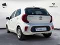 Kia Picanto 1.0 12V 5 porte AMT Urban Bianco - thumbnail 9