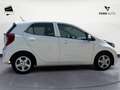 Kia Picanto 1.0 12V 5 porte AMT Urban Bianco - thumbnail 5