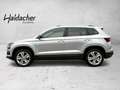 Skoda Karoq Grau - thumbnail 4