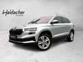 Skoda Karoq Grau - thumbnail 1