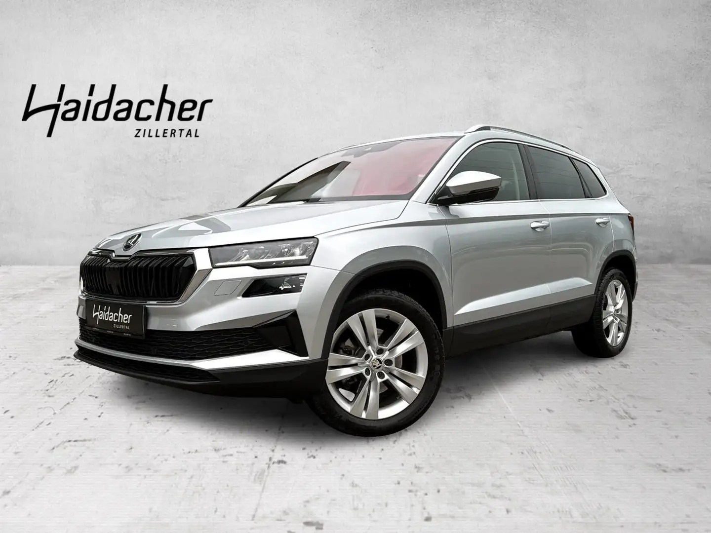 Skoda Karoq Grau - 1