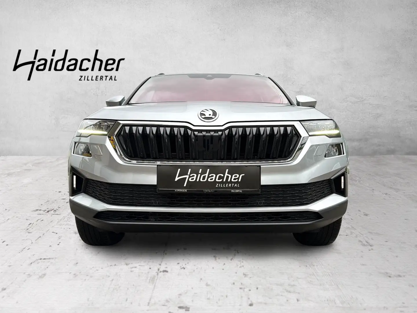 Skoda Karoq Grau - 2