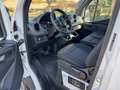 Mercedes-Benz Sprinter F37/35 319 CDI RWD TA Furgone Bianco - thumbnail 8
