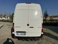 Mercedes-Benz Sprinter F37/35 319 CDI RWD TA Furgone Bianco - thumbnail 6