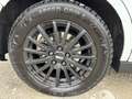 Ford Grand C-Max Titanium 1,6 TDCi DPF - thumbnail 9