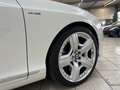 Bentley Continental 6.0 W12 4WD NEW CONTI Colour Split Beyaz - thumbnail 10